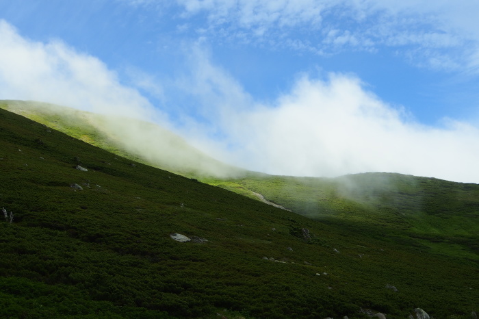 e0307372_14250088.jpg