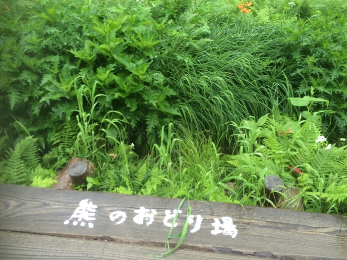 e0307372_15092216.jpg