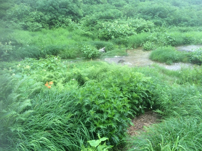 e0307372_15110203.jpg