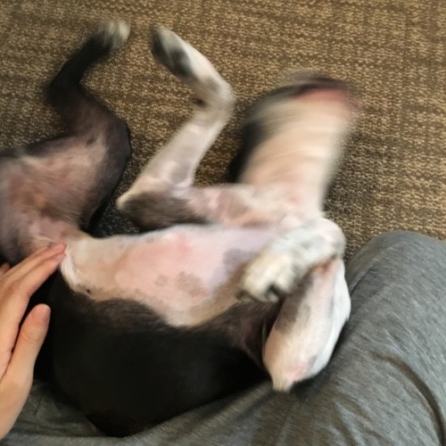 d0041575_21343598.jpeg