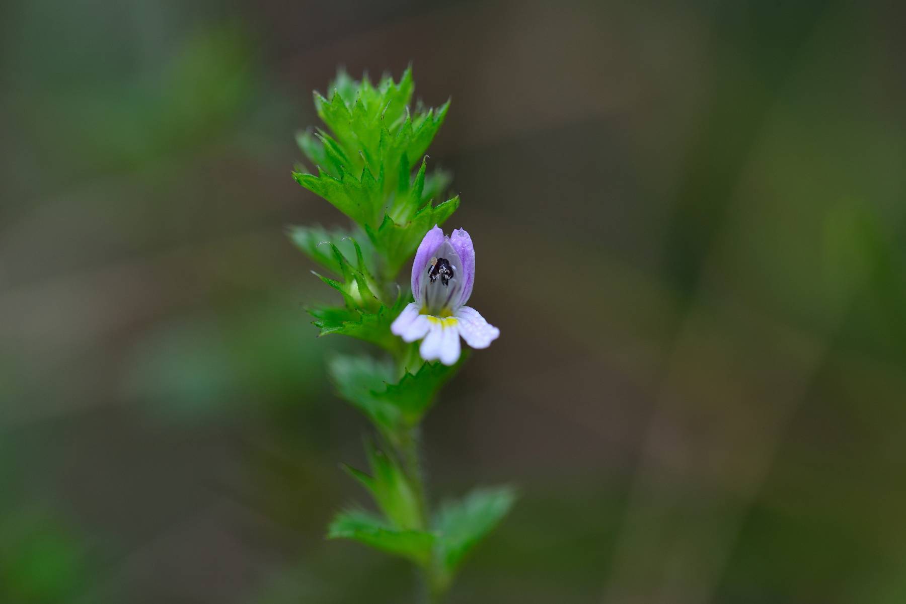 d0328977_16080149.jpg