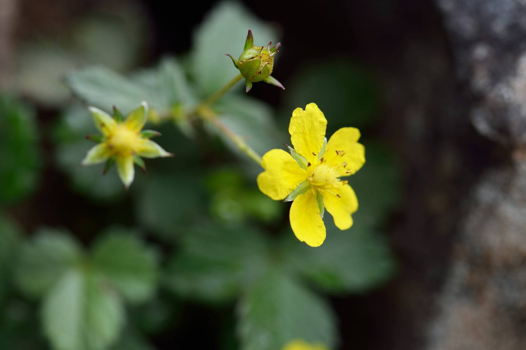 d0328977_16080413.jpg