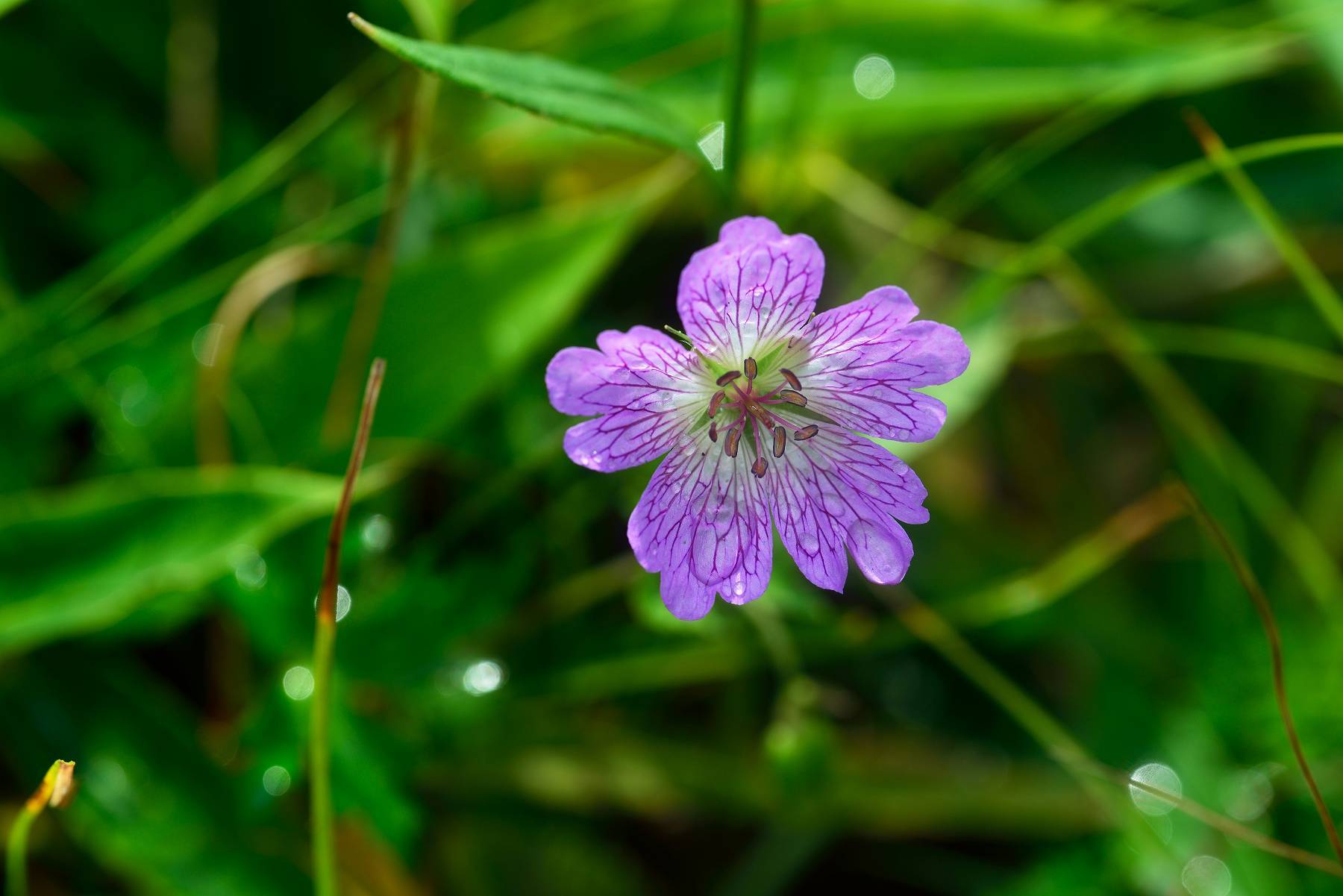 d0328977_16082434.jpg