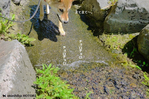 f0150377_1849382.jpg