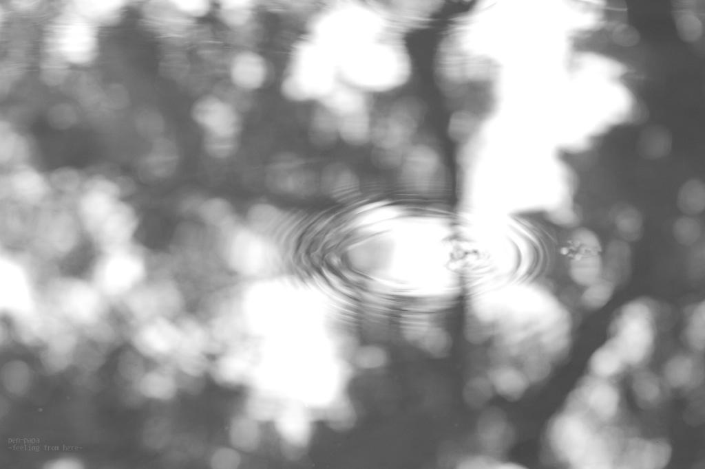 c0356480_21025897.jpg