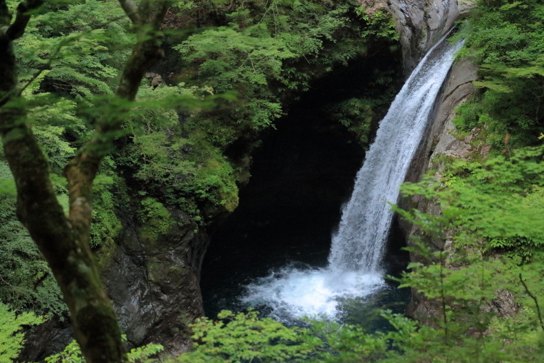 f0368583_05583457.jpg