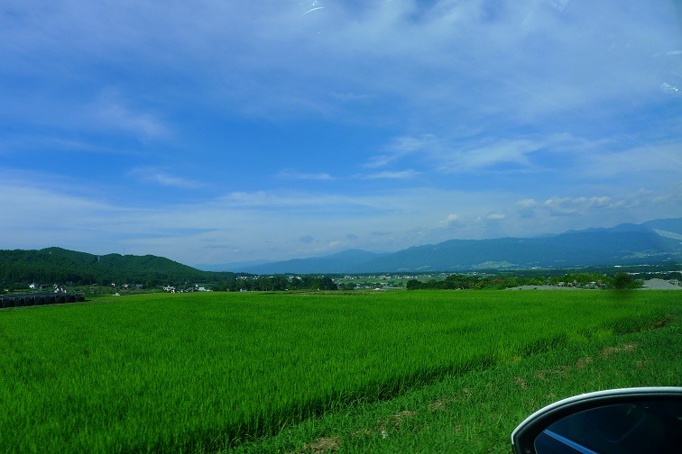a0130586_19572090.jpg