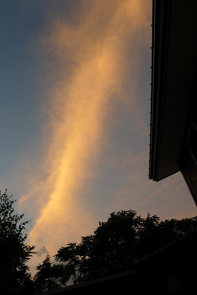 a0130586_20195938.jpg
