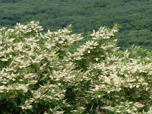 f0357487_22172136.jpg