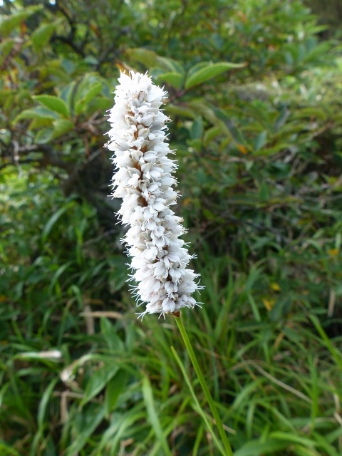 f0357487_22444374.jpg