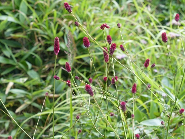 f0357487_22503382.jpg