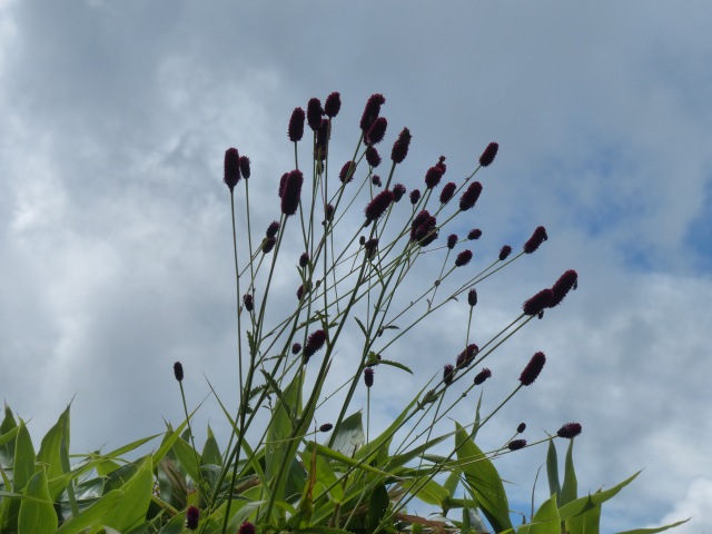 f0357487_23172214.jpg
