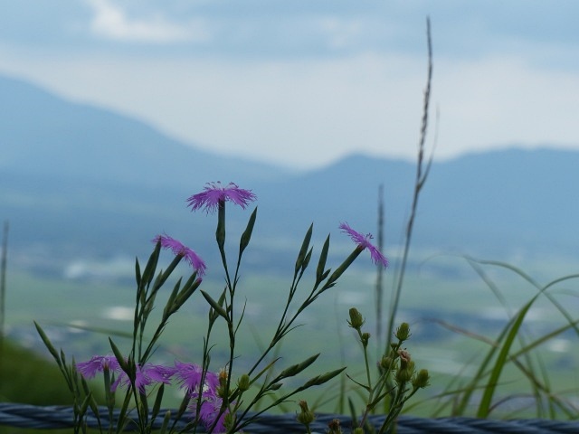 f0357487_23191123.jpg