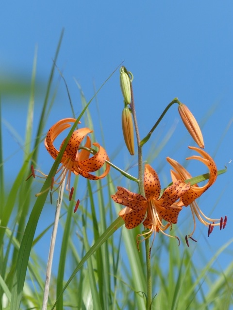 f0357487_23205364.jpg