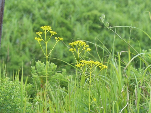 f0357487_2320871.jpg