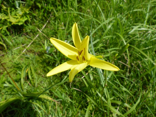 f0357487_2321587.jpg