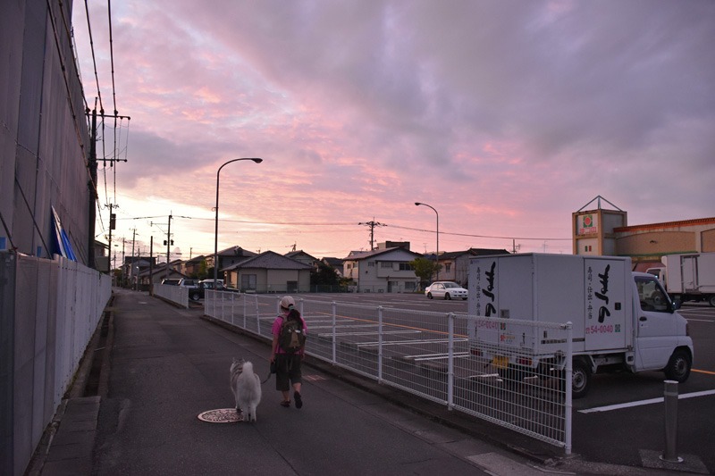 c0049299_22472925.jpg