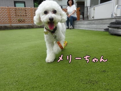 a0338800_18553733.jpg