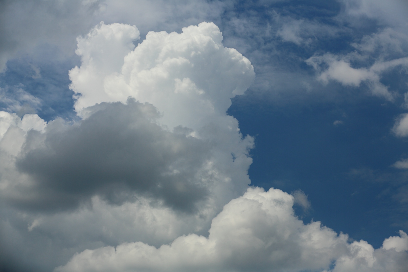 a0155104_22454643.jpg