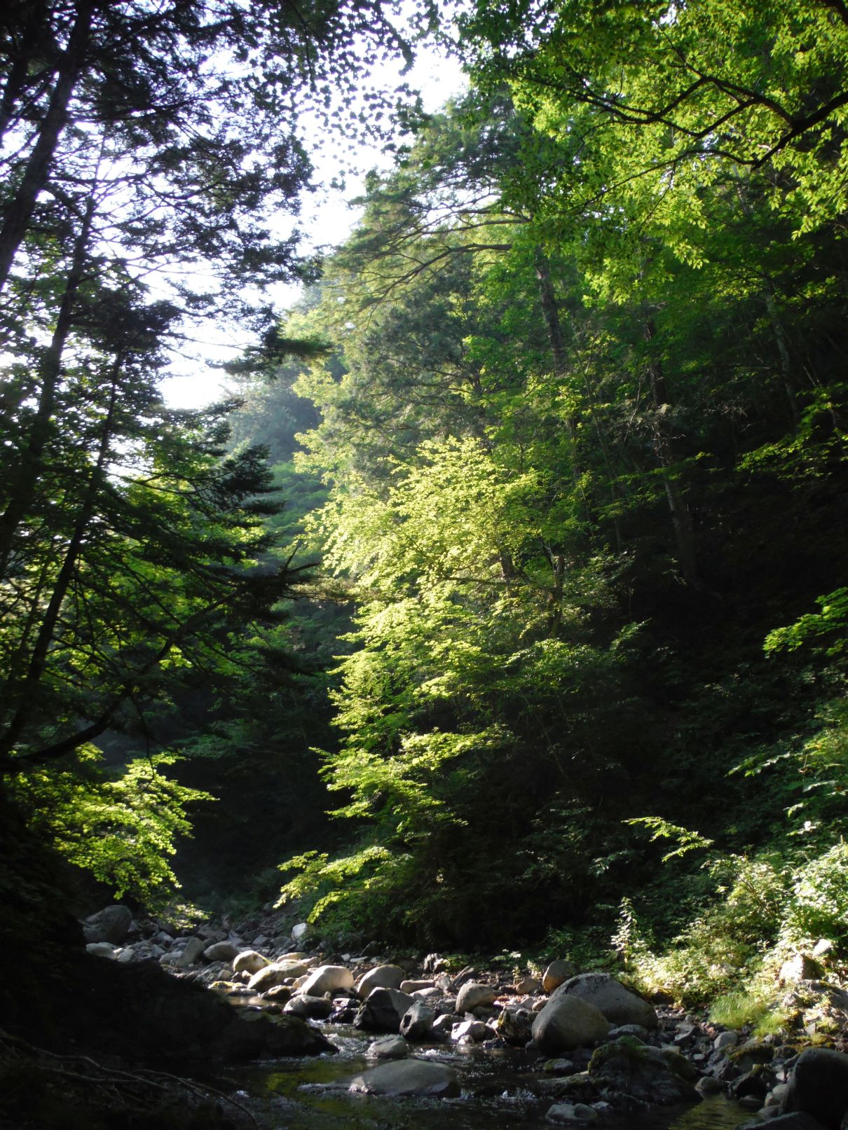 b0172805_1017234.jpg
