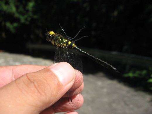 c0062511_2217222.jpg