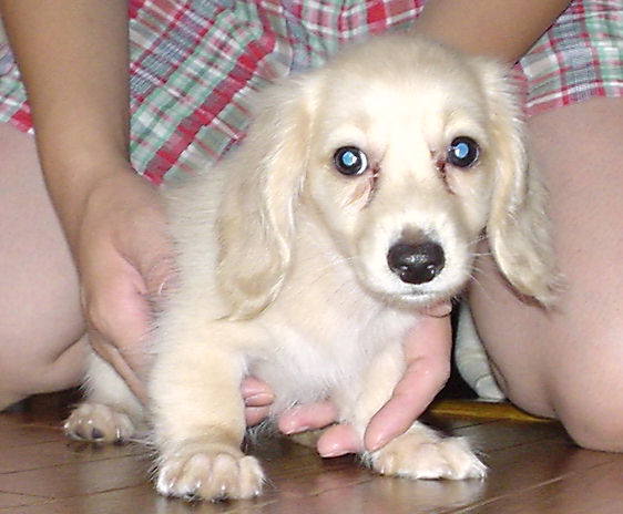 c0117831_10312177.jpg