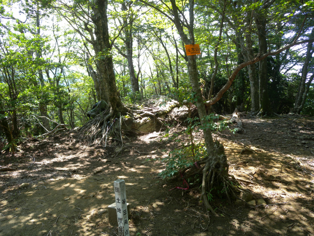 e0272335_19292219.jpg
