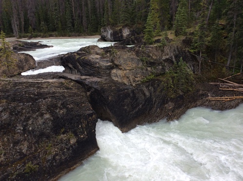 c0122744_1622433.jpg