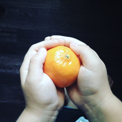 c0181652_16262521.jpg