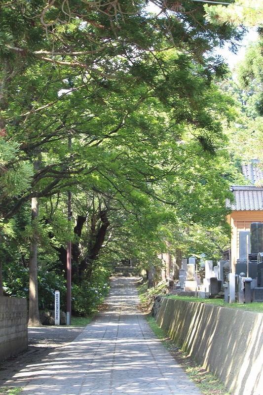 b0250154_06175250.jpg