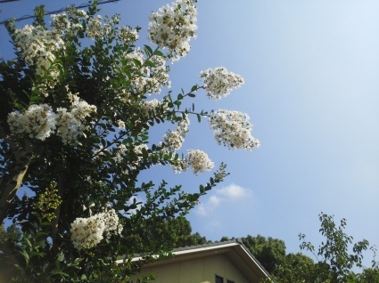 b0368362_13141656.jpg