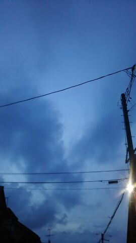 f0127282_81361.jpg
