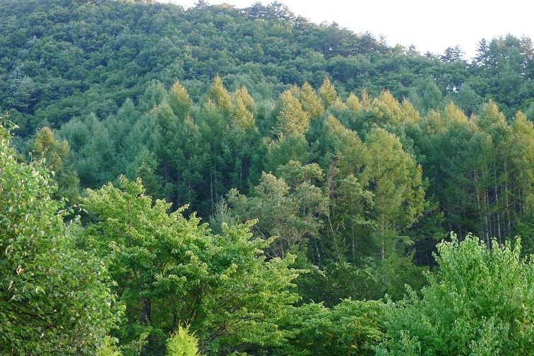 a0130586_21521343.jpg