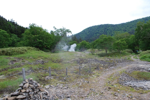 a0133886_17275444.jpg