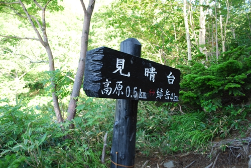 a0133886_1782535.jpg