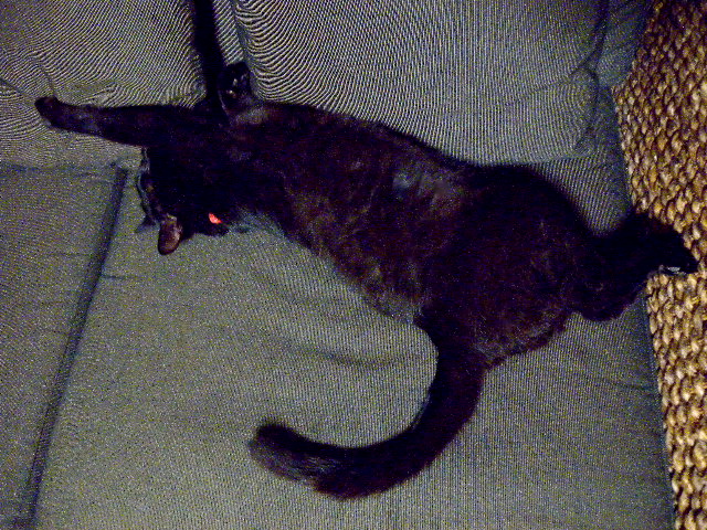a0199297_2137286.jpg