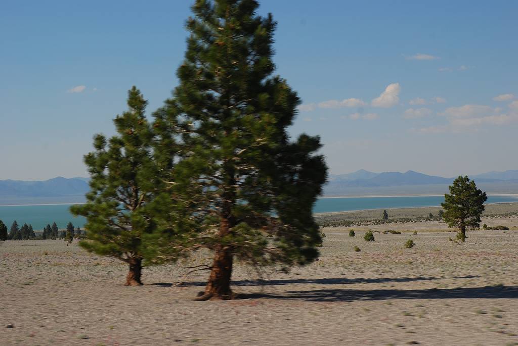 b0021211_132577.jpg