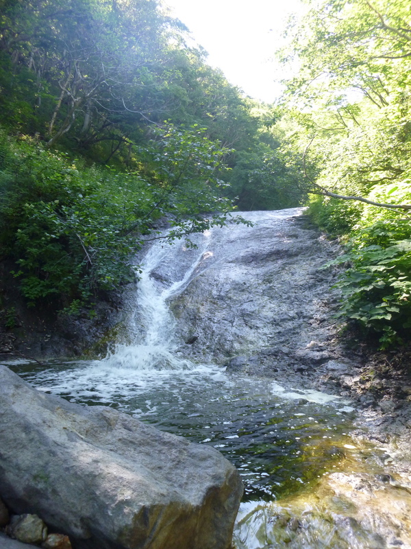 d0170615_1705832.jpg