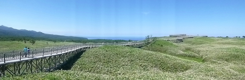 d0170615_1731555.jpg