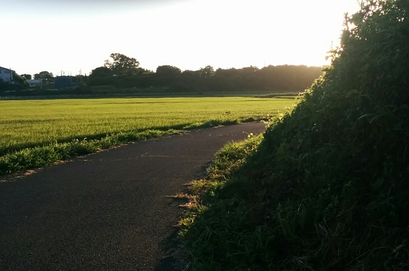 d0197317_10165744.jpg