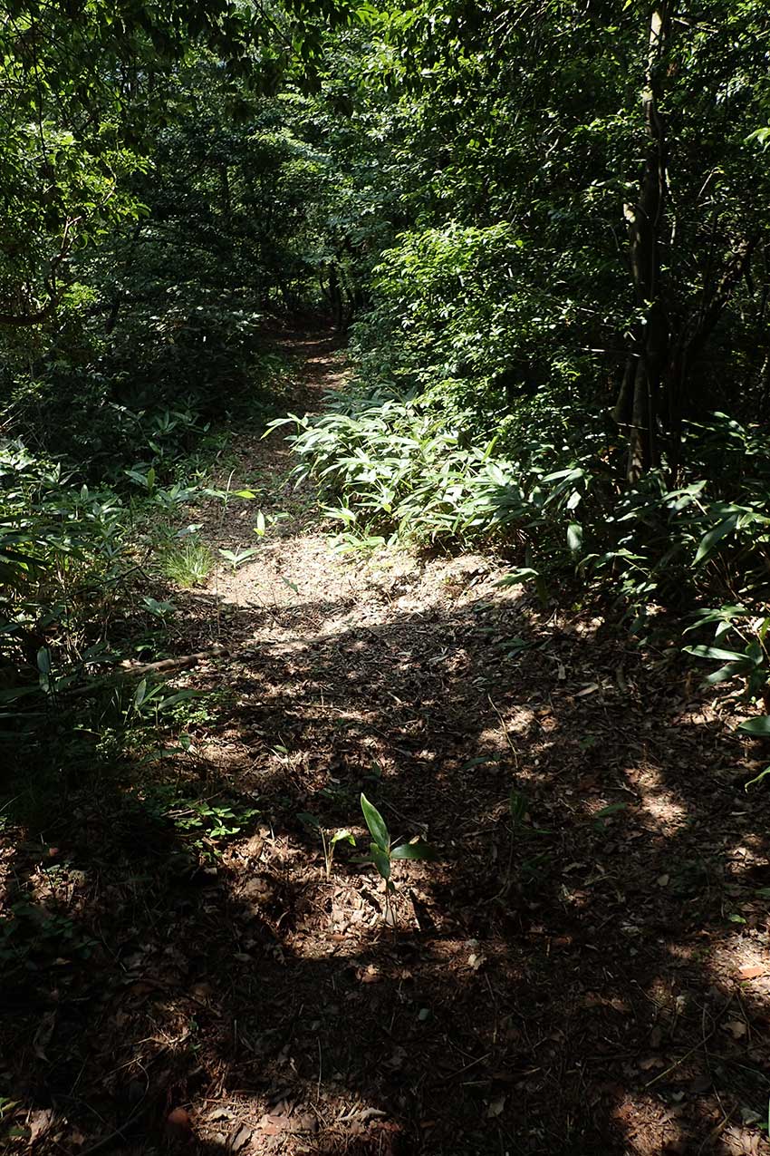 c0064025_1732379.jpg