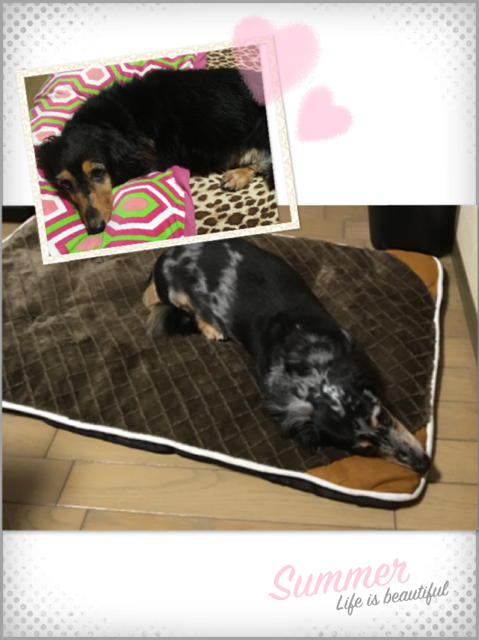 b0029126_8301516.png