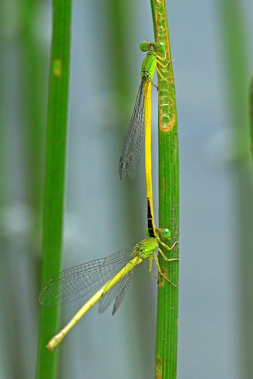c0104227_0101476.jpg