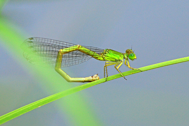 c0104227_0131392.jpg