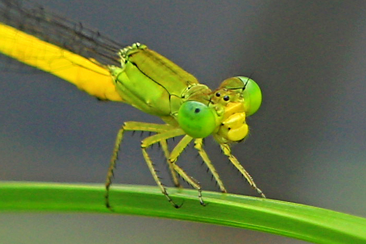 c0104227_0152824.jpg