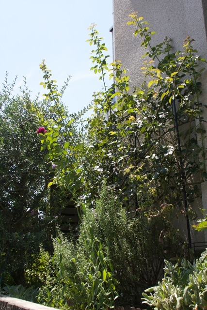 e0021328_00261867.jpg
