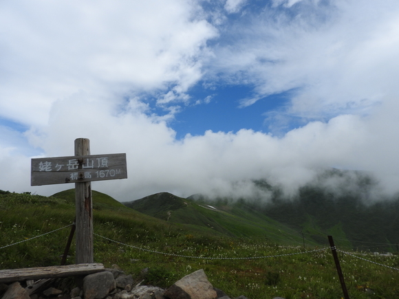f0118332_23221580.jpg