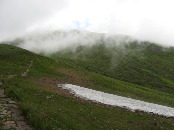 f0118332_2323649.jpg