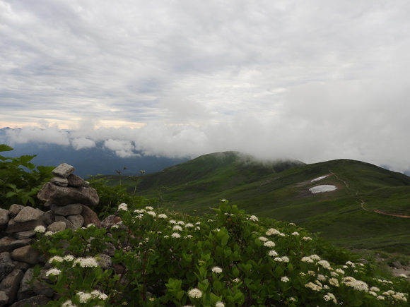 f0118332_2325498.jpg