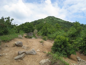 c0077338_6171686.jpg